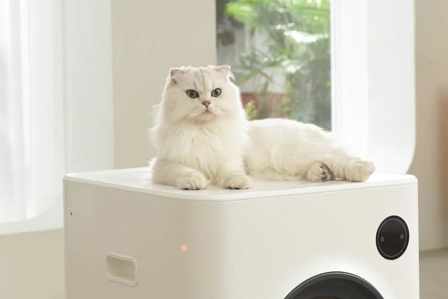 best litter box for multiple cats automatic